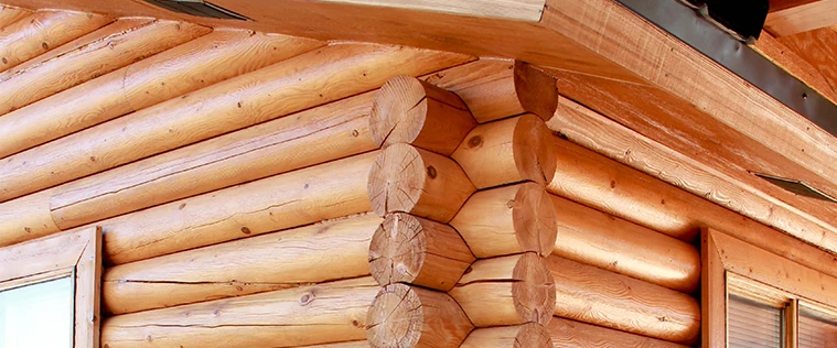 Protect the Bottom of the Logs